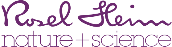 Dieses Bild zeigt das LOGO von der Firma Rosel Heim. Es steht geschrieben, Rosel Heim mit romatischen Schriftzug und darunter steht: nature + science